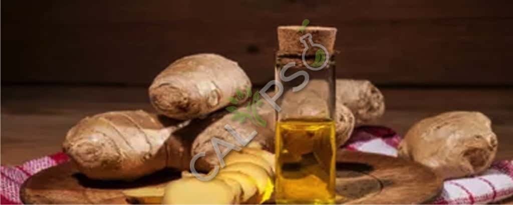 Ginger Essential Oil Price